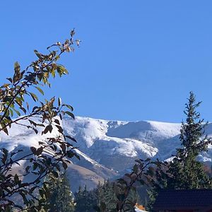 Chalet Bakuriani Apartment Exterior photo