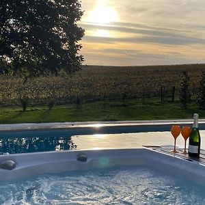 Best View, Pool And Spa On The Champagne Vineyard Apartment Saint-Thierry Exterior photo