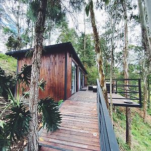 Casa Manoah - Cabin In The Woods Villa Рионегро Exterior photo