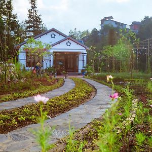 Thanh Truc Villa & Flower Сапа Exterior photo