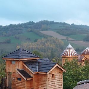 Roulottes Au Pied Du Vercors Hotel Сан-Жан-ан-Ройан Exterior photo