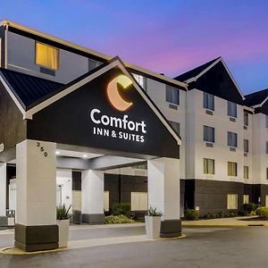 Comfort Inn & Suites Mt Laurel-Philadelphia Маунт Лорел Exterior photo