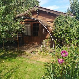 Le Chalet Du Jardin Cache Hotel Марманд Exterior photo