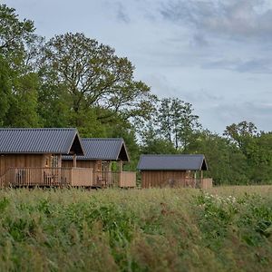 Composite Lodges With Shared Space In Drenthe Ruinerwold Exterior photo