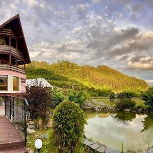 Pensiunea Armonia Hotel Nădăşelu Exterior photo