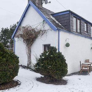 West End Cottage Карбридж Exterior photo