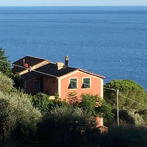 Seaside Villa Between Portofino And Cinque Terre Дзоали Exterior photo