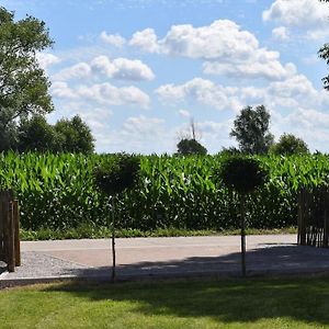 Cosy Cott, Een Verborgen Logeerplek In Het Landelijke Poeke. Villa Алтер Exterior photo