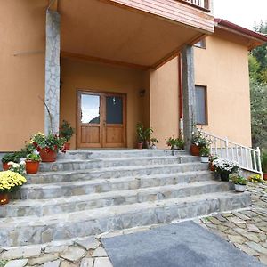 Pensiunea Casoca-Cascada Villa Сириу Exterior photo