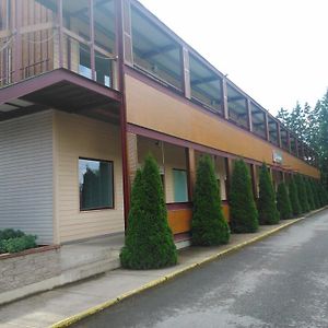 Maennimaee Guesthouse Вилянди Exterior photo