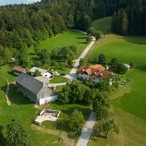 Eco Tourist Farm Ravnjak Villa Словени Градец Exterior photo