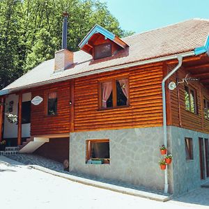 Etno Domacinstvo Milenkovic Villa Деспотовац Exterior photo