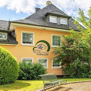 City Ferienhaus Vulkaneifel Villa Даун Exterior photo