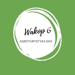 Wakop 6 Agroturystyka Eco Villa Нова Слупия Exterior photo