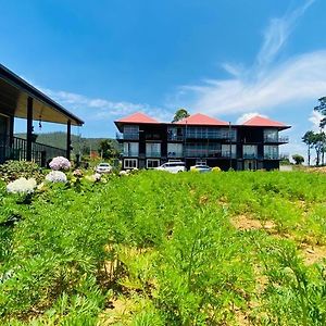 Cozy Cabins Нувара Елия Exterior photo