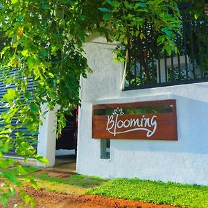 Blooming Holiday Resort Анурадхапура Exterior photo