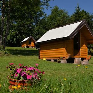 Small Bungalow - Tara Place Apartment Мойковац Exterior photo