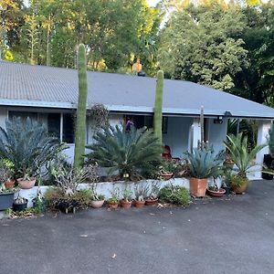 Ancient Gardens Guesthouse & Botanical Gardens Eudlo Exterior photo