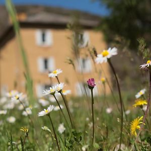 Lou Prat Bed & Breakfast Меруес Exterior photo