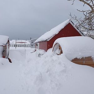 Dalvik Vegamot Cottages Exterior photo