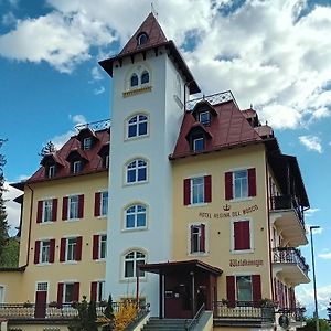 Hotel Regina Del Bosco Ронзоне Exterior photo