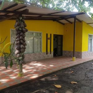 Cabana En La Playa Punta Bolivar Villa Сан Антеро Exterior photo