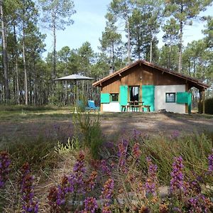 Gite Vert Villa Luxey Exterior photo