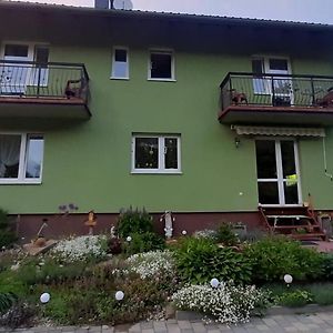 Zielony Domek Guest House Тилич Exterior photo