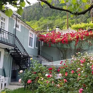 Guest House Green Rose Боржоми Exterior photo