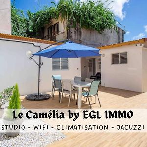 Le Camelia - Gite "Terre Et Truffes" Apartment Льо Ламентин Exterior photo