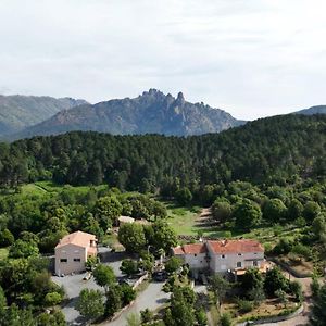 Les Hauts De Cavanello Bed & Breakfast Зонза Exterior photo