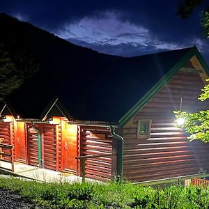 Log Cabin 2 Merdovic Guest House Мойковац Exterior photo