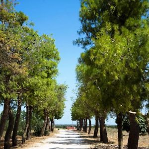 Masseria San Paolo Bed & Breakfast Саличе Салентино Exterior photo