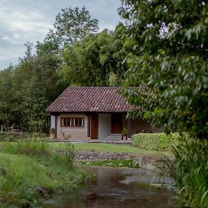 El Molino De Bonaco Guest House Сан Висенте де ла Баркера Exterior photo