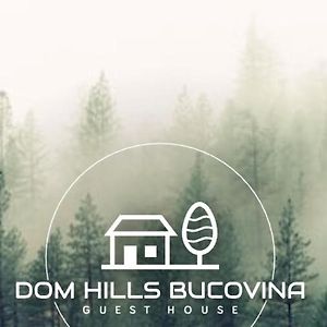 Dom Hills Bucovina Hotel Гура Хуморулуй Exterior photo