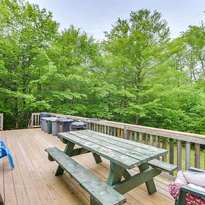 Secluded Harmony Cabin With Deck, Dock, Boats! Villa Exterior photo