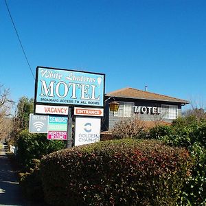 White Lanterns Motel Армидейл Exterior photo