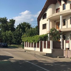 Casa Stefan Apartment Дробета-Турну Северин Exterior photo