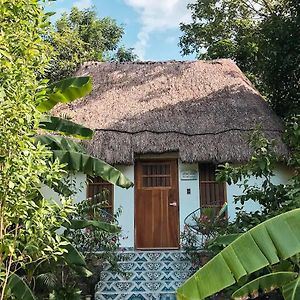 Hotel Boutique Cenote San Ignacio Мерида Exterior photo