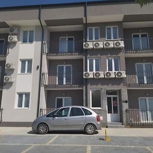 Apartman Jokovic Apartment Kisiljevo Exterior photo