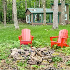 Secluded Upstate Ny Forest Cottage On 33 Acres! Онионта Exterior photo