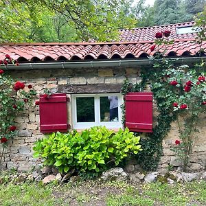 Chambre En Bordure D'Aveyron Bed & Breakfast Сент-Антонен Exterior photo