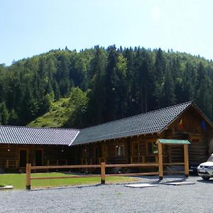 Pensiunea Mama Uta Hotel Gîrda de Sus Exterior photo