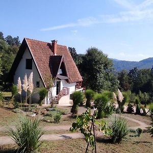 Vikendica Popovic Villa Добой Exterior photo