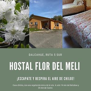 Hostal Flor Del Meli Bed & Breakfast Далкагуе Exterior photo