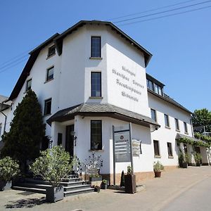 Weingut Matthias Dostert / Culinarium Hotel Нител Exterior photo