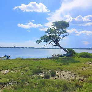 Lake Scape Yala Safari Inn Тисамахарама Exterior photo