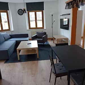 Zentral Und Ruhig In Auerbach Apartment Ауербах Exterior photo