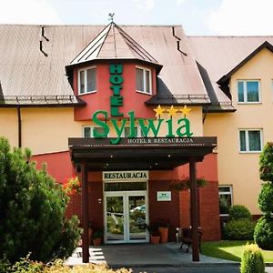 Hotel Sylwia Сосницовице Exterior photo