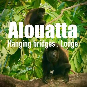 Alouatta Hanging Bridges Adventure And Lodge Кахуита Exterior photo